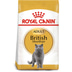 ROYAL CANIN British Shorthair Katzenfutter trocken für Britisch Kurzhaar