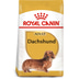 ROYAL CANIN Dachshund Adult Hundefutter trocken für Dackel