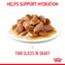 Royal Canin FCN Appetite Control Gravy