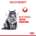 Royal Canin FCN Dental Care