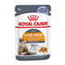Royal Canin FCN Hair & Skin Jelly