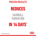 Royal Canin FCN Hairball Care Gravy