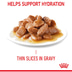 Royal Canin FCN Hairball Care Gravy