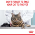 Royal Canin FCN Hairball Care