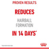 Royal Canin FCN Hairball Care