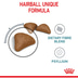 Royal Canin FCN Hairball Care