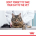 Royal Canin FCN Light Weight Care