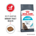 Royal Canin FCN Urinary Care