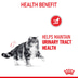 Royal Canin FCN Urinary Care