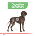 ROYAL CANIN DIGESTIVE CARE MAXI Trockenfutter für große Hunde mit empfindlicher Verdauung