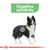 ROYAL CANIN DIGESTIVE CARE MEDIUM Trockenfutter für mittelgroße Hunde mit emfindlicher Verdauung