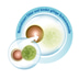 Tetra Wasseraufbereiter AquaSafe