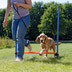 Trixie Dog Activity Agility Hürde