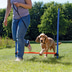 Trixie Dog Activity Agility Set vierteilig