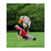 Trixie Dog Activity Dog Disc Hundefrisbee aus Kunststoff 19cm