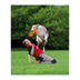 Trixie Dog Activity Dog Disc Hundefrisbee aus Kunststoff 23cm