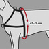 Trixie Hundegeschirr Lead'n'Walk Soft