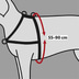 Trixie Hundegeschirr Lead'n'Walk Soft
