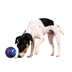 Trixie Snacky Ball Hundespielzeug aus Kunststoff