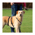 Trixie Stay-Geschirr schwarz
