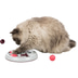 Trixie Cat Activity Flip Board