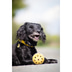 Trixie Lochball mit Schelle