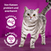 Whiskas Tasty Mix Multipack Chef's Choice in Sauce 60x85g