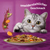 Whiskas Tasty Mix Multipack Chef's Choice in Sauce 60x85g