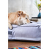 ZooRoyal Hundekissen Max grau