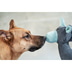 ZooRoyal Hundespielzeug Einhorn Anthrazit