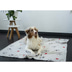 ZooRoyal Kuscheldecke Tierliebe 125x150 cm