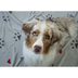 ZooRoyal Kuscheldecke Tierliebe 125x150 cm