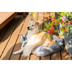 ZooRoyal Outdoorbett Noah