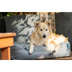 ZooRoyal Outdoorbett Noah