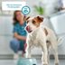 ZooRoyal Hunde-Nassfutter mit Rinderherzen