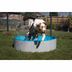 ZooRoyal Hundepool