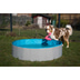 ZooRoyal Hundepool