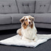 ZooRoyal Premium Haustier Kuscheldecke Luna 115x71 cm