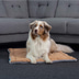 ZooRoyal Premium Haustier Kuscheldecke Luna 115x71 cm