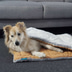 ZooRoyal Premium Haustier Kuscheldecke Luna 115x71 cm