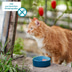 ZooRoyal Minkas Kitten Huhn und Lachs