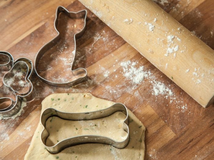 Katzenleckerlis selber machen Rezept