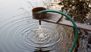 Teichtechnik: Filter für den Gartenteich