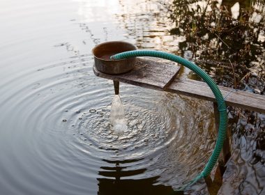 Teichtechnik: Filter für den Gartenteich