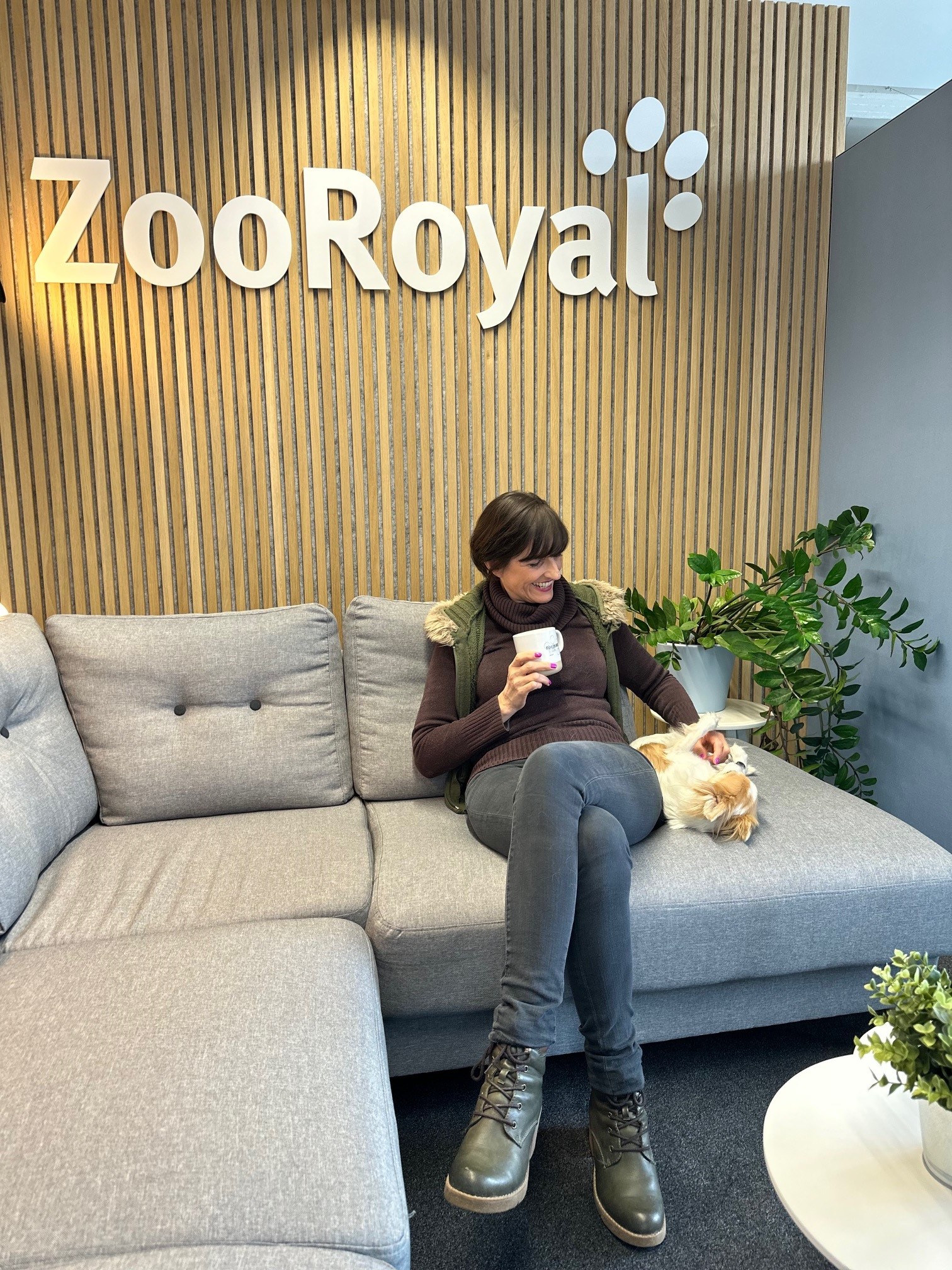 Bürohund bei ZooRoyal