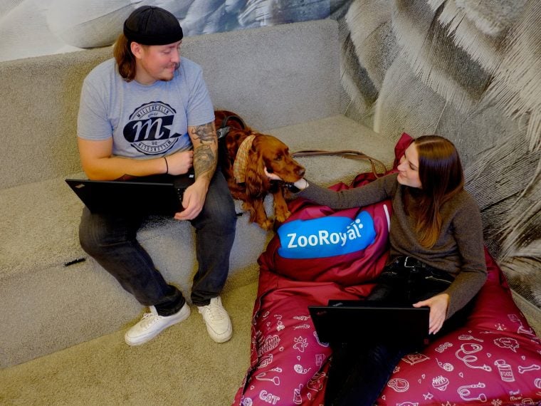 Bürohund bei ZooRoyal