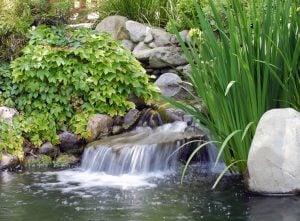 Teichbau: Bachlauf im Garten