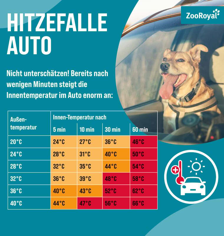 Infografik Hitzeentwicklung im Auto