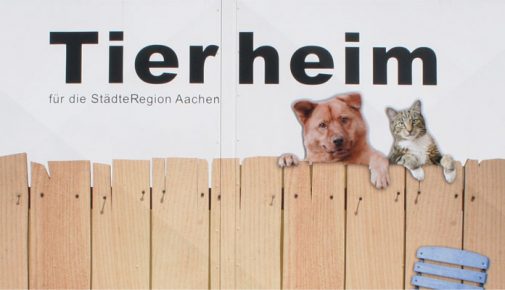 Tierheim-Alltag