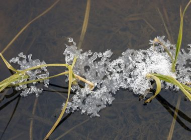Teichbeheizung: Gartenteich winterfest machen